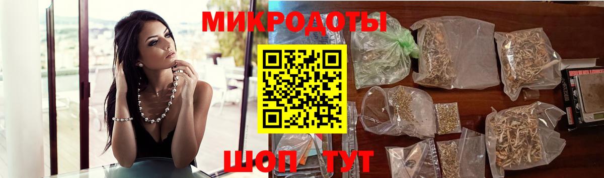 Псилоцибиновые грибы Psilocybe Моздок